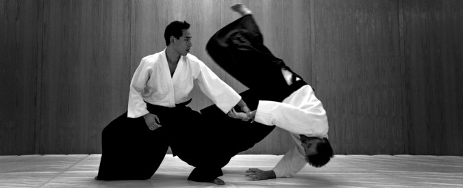 Aikido-Image-Source-Siamstarmma